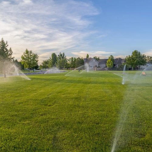 Sprinkler System in Kenosha sprinkler system in Kenosha, Kenosha sprinkler system, sprinkler system kenosha